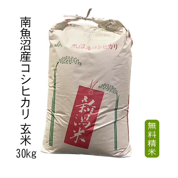楽天市場】玄米 30kg 南魚沼産 コシヒカリ （ 玄米 ）30kg （ 令和5