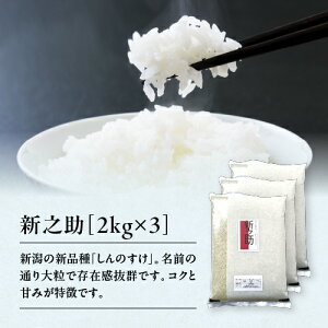 V ĐVV 2kg×3 6kg ߘa7NY V VY  VY   嗱 Pꌴ  6L     Y  VN 嗱ŐH׉Q 
