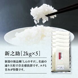 大特価 米 10kg 新潟県産 新之助 令和7年産 2kg×5 お米 10キロ 小分け 2kg 新潟産 しんのすけ 単一原料 送料無料 白米 精米 産直 直送 新潟 新潟産 こめ 即日発送 新潟米 ご飯 大粒 甘み つやつや 美味しいお米 おいしい米 美味しい米 食べ応え抜群