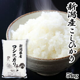 【年末セール】米 5kg コシヒカリ 新潟 令和7年産 送料無料 美味しいお米 5キロ 5kg×1 こしひかり 新潟県産 白米 精米 単一原料 美味しい お米 おいしい米 新潟産 ご飯 通販 産直 直送 食品 ごはん 食べ物 甘み粘り 冷めても美味しい お弁当にもおいしい 冷めても美味しい