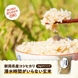 簡単 玄米 令和7年産 玄米 2Kg 4kg 5kg 10kg 20kg 送料無料 即日発送 米 コシヒカリ 新潟 さっと洗うだけ玄米 浸水時間がいらない玄米 浸水時間無し玄米 すぐ炊ける玄米 チャック袋 新潟産 こしひかり 2キロ おいしいお米 美味しい玄米 健康 ミネラル ビタミン 簡単玄米