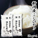 新米 令和7年産 米 20kg 新潟産 コシヒカリ 送料無料 お米 5kg×4 こしひかり 20キロ 新潟県産 精米 白米 単一原料 美味しい お米 おいしい米 新潟産 こめ ご飯 産直 直送 ごはん 甘み粘り 冷めても美味しい お弁当にもおいしい おいしい米 美味しい米