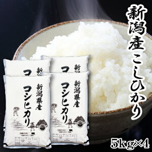 V ߘa7NY  20kg VY RVqJ   5kg×4 Ђ 20L VY   Pꌴ    VY   Y  ͂ ÂݔS ߂