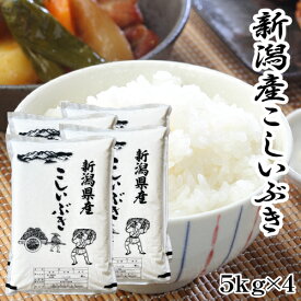 米 新潟県産 こしいぶき 5kg×4 20kg 令和5年 美味しいお米 米 20kg 送料無料 新潟 こしいぶき お米 5kg×4 新潟産 こめ 20キロ 新潟県産 精米 新潟米 単一原料 あす楽 新米 ご飯 ごはん あっさりめ 甘み つやつや 美味しい お米 おいしい お米 粘り少なめ 安い 美味しい