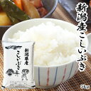 米 5kg 令和7年産 新潟県産 こしいぶき 送料無料 白米 精米 単一原料 即日発送 産直 直送 美味しい米 おいしいお米 こめ お米 5キロ 新潟 新潟米 新潟県 おいしい米 ご飯 ごはん こしひかりよりもあっさり 甘み 美味しい おいしい 粘りは少ない