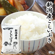 特別価格 米 5kg 令和7年産 新潟県産 こしいぶき 送料無料 白米 精米 単一原料 即日発送 産直 直送 美味…