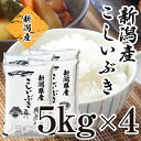 【特別価格】米 20kg 5kg×4 新潟県産 こしいぶき 令和7年産 お...