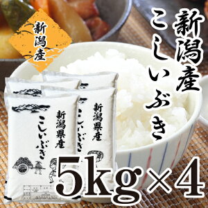 �� 20kg 5kg×4 �V�����Y �������Ԃ� �ߘa7�N�Y ���� 20�L�� �������� ���� ���� �P�ꌴ�� �V���Y ������������ ���������� ���������� ������������ ���� �Y�� �������� �l�C ���荠 �V���� �R�V