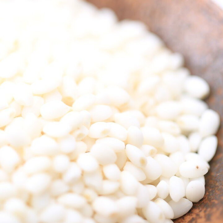 楽天市場】米 令和6年 もち米 こがねもち 5kg×2 10kg もちごめ 送料 