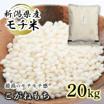 楽天市場】もち米 20kgの通販