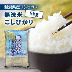 新米 令和7年 無洗米 5kg 新潟産 コシヒカリ 送料無料 即日発送 新潟県産 こしひかり 単一原料 白米 精米 おいしい無洗米 新潟 米 お米 美味しい無洗米 こしひかり 5キロ 美味しいお米 おいしいお米 ブランド米 ご飯