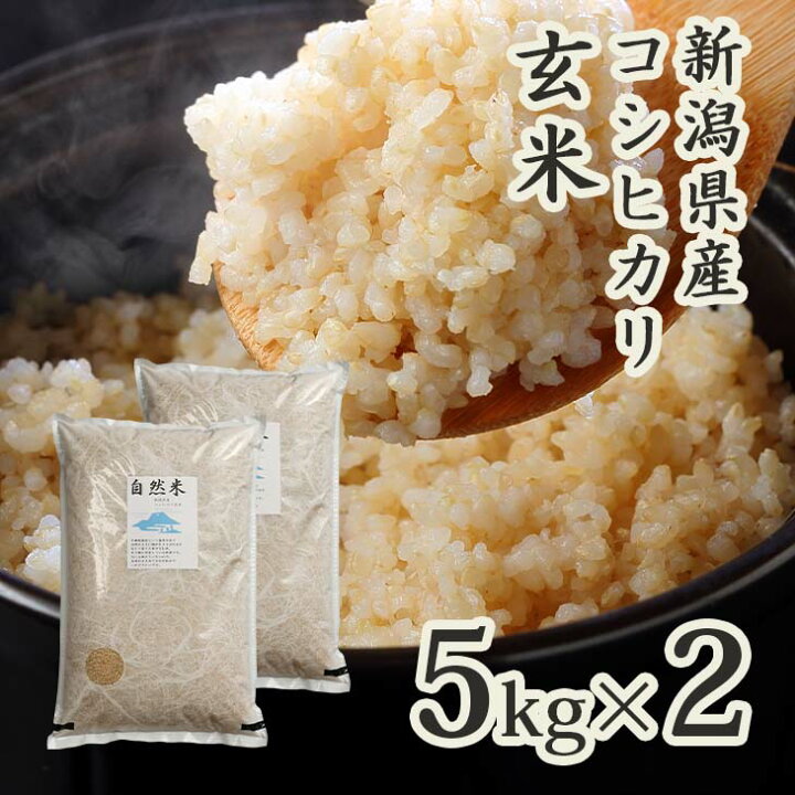 玄米　10kg コシヒカリ　新米　埼玉県産　令和5年産　送料無料　米　10キロ