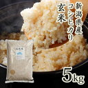 無農薬 玄米 令和7年産 即日発送 無農薬玄米 米 5kg 自然米 コシ...