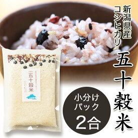 雑穀 雑穀米 送料無料 新潟県産 コシヒカリ こがねもち 古代米 紫米 黒米 赤米 玄米 お米 コメ 北海道産 黒豆 小豆 五十穀米 2合 お試し 常温 保存食 健康 常備 栄養 食品 食べ物 ごはん ご飯 ヘルシー お取り寄せ ポイント消化