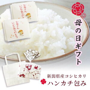 ̓2025Mtg pI ԈȊO  Hi nJ`  VYRVqJ 2×2 4 ̓ v[g Mtg 70 60 50 40 N Ċ 킢 ̓bZ[W 