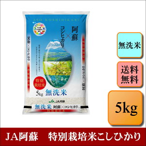 無洗米 令和7年産 JA阿蘇 特別栽培米こしひかり 5kg お米 白米 熊本県産 送料無料 プレゼント 仕送り 贈答米 備蓄米 非常用 【無特_阿蘇こしひかり_5kg】