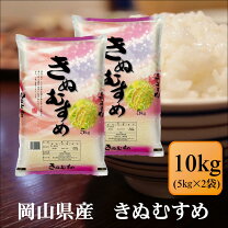 楽天市場】きぬむすめ 10kgの通販