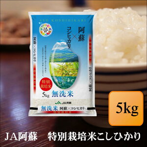 ā@ߘa7NY@JAh@ʍ͔|ĂЂ@5kg   F{Y  v[g d  ~ p@yQhЂQ5kgz