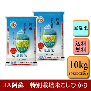 ā@ߘa7NY@JAh@ʍ͔|ĂЂ@10kg(5kg×2)   F{Y  v[g d  ~ p@yQhЂ10kgz