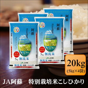 ā@ߘa7NY@JAh@ʍ͔|ĂЂ@20kg(5kg×4)   F{Y  v[g d  ~ p@yQhЂ20kgz