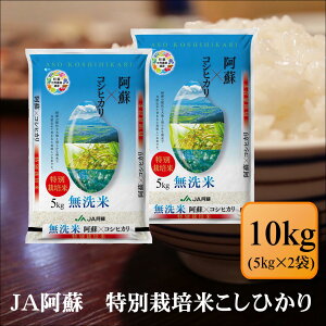 �����ā@�ߘa7�N�Y�@JA���h�@���ʍ͔|�Ă����Ђ���@10kg(5kg×2��) ���� ���� �F�{���Y �������� �v���[���g �d���� ������ ���~�� ���p�@�y�����Q���h�����Ђ���10kg�z