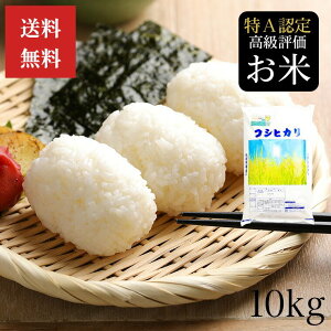 V yߘa7NYz  Y RVqJ 10kg  Yn A S Â   Ђ Mtg v[g  ~