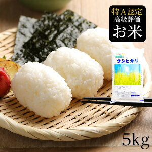 新米 【令和7年産】 会津 只見産 コシヒカリ 5kg 産地直送 特A 粘り 甘味精米 白米 こしひかり ギフト プレゼント お米 備蓄