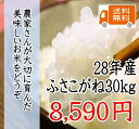 28年 千葉県産ふさこがね 30kg 一等米　【送料無料】【米30kg送料無料】（一部地域を除きます）北海道、九州地方は送料（+400円）、沖縄は送料（+200... ランキングお取り寄せ