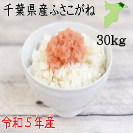 米30kg　令和5年産　千葉県産ふさこがね　白米26.4kg　小分け無料　送料無料　ツヤツヤ　ピカピカ　甘い　まずは炊き立てを食べて　お米　米千葉県産　産地直送 　 新米30kg 送料無料　新米30kg　　令和5年産