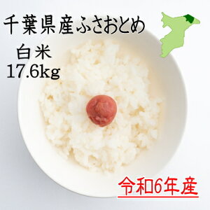 ߘa6NY@tYӂƂ߁@17.6kg@@cc@Yn 