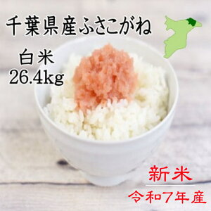 VēׁIߘa7NY@tYӂˁ@26.4kg@Vā@@@cc@sJsJ@Â@܂͐ĂHׂā@ā@Vā@8.8L×3܁@i30LF