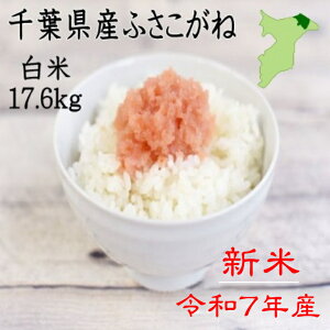 VēׁI@ߘa7NtY@ӂˁ@17.6kg@Yn @@Vā@cc@sJsJ@8.8L×2