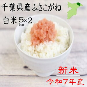 VāIߘa7NY@tYӂˁ@10kgi5kg×2j@Vā@@sJsJ@@ā@ā@ā@ӂˁ@tY@Yn 10kg 