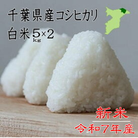 【特価】令和7年産　千葉県産コシヒカリ　白米10kg（5kg×2）新米　送料無料　ツヤツヤ　ピカピカ　お米　米　白米　コシヒカリ　千葉県産　産地直送 米 10kg 送料無料　生産者さん　感謝　セール