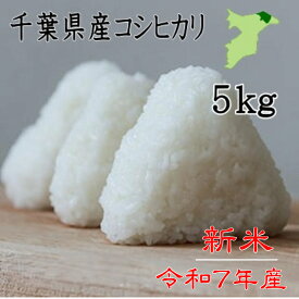 【特価】令和7年産　千葉県産コシヒカリ　白米5kg　新米　送料無料　お米　米　ツヤツヤ　ピカピカ　まずは炊き立てを一口食べて　米5キロ