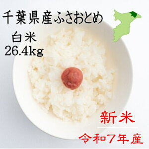 yN[|szVāIߘa7NY@tYӂƂ߁@26.4kg@@cc@sJsJ@Yn@@8.8L×3܁@i30LFČ26.4L̏ił