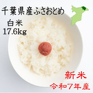 VēׁIߘa7NY@tYӂƂ߁@Vā@17.6kg@@cc@Yn @8.8L×2