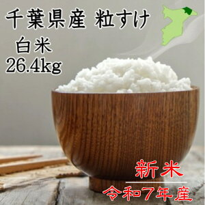 yN[|szVēׁIߘa7NY@tY@26.4kg Vā@tVi@cc@sJsJ@@@ti