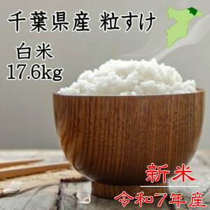 yN[|szVēׁIߘa7NY@tY @17.6kg@Vā@cc@sJsJ@@@ā@ā@ā@RVqJȏ̔@嗱@t