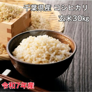 白米 コシヒカリ 千葉 30Kg」の人気商品一覧 | 安い商品を通販サイト 