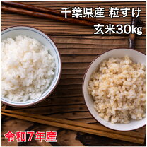 楽天市場】玄米 粒すけの通販