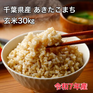 令和7年 米 新米 30kg」の人気商品一覧 | 安い商品を通販サイトから 