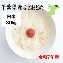 楽天市場】千葉県産 ふさおとめ新米の通販