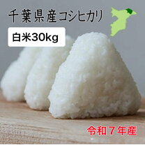 楽天市場】千葉県産コシヒカリ 30kg 送料無料の通販