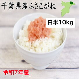 楽天市場】【特価】令和7年産 千葉県産ふさこがね 白米30kg（内容量 