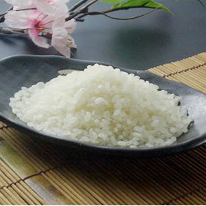 ߘa7NYJA݂䂫_̕5kg yRVqJāzyRCPz yĂЂzy}̎͂yŁz