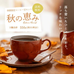 R[q[GߌZbg Ȟb R[q[Zbg 55t 550g 3ދlߍ킹 R[q[Zbg 蓤 v~AR[q[   COFFEE ̃R[q[