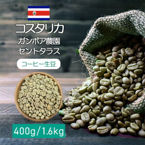 R[q[  RX^J K{A_ Zg^X 400g / 1.6kg kn t[eB[Ȏ_ƃibc̊Â EHbVh R[q[  XyVeB R[q[   R[q[
