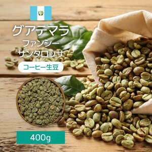 R[q[  OAe} t@V[ T^bT SHB 400g 1.6kg eCXg kn   ibc `R[g ܂₩ EHbVh OAe} Ntg R[q[  BBQ A