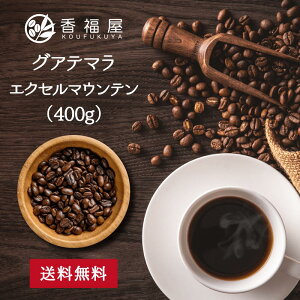 コーヒー豆グアテマラ エクセルマウンテン 400g柑橘系のほのかに香る酸味 果実の甘味ドリップ用 コーヒープレス用 コーヒーメーカー用 プレミアムコーヒー メール便 香福屋【コンビニ受取
